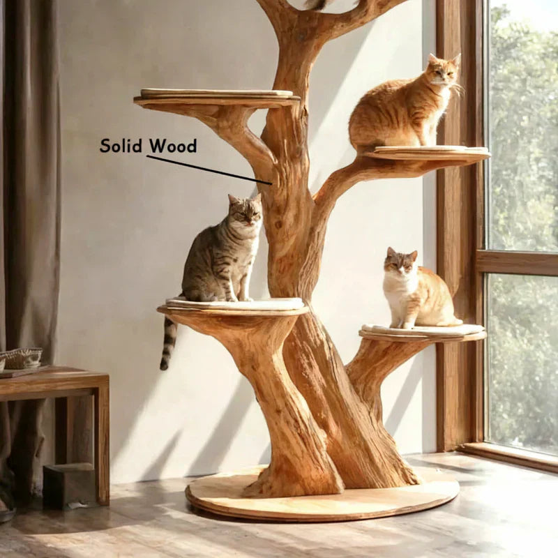 Handmade solid wood tree-shaped cat tree with natural branches and three cats indoors.