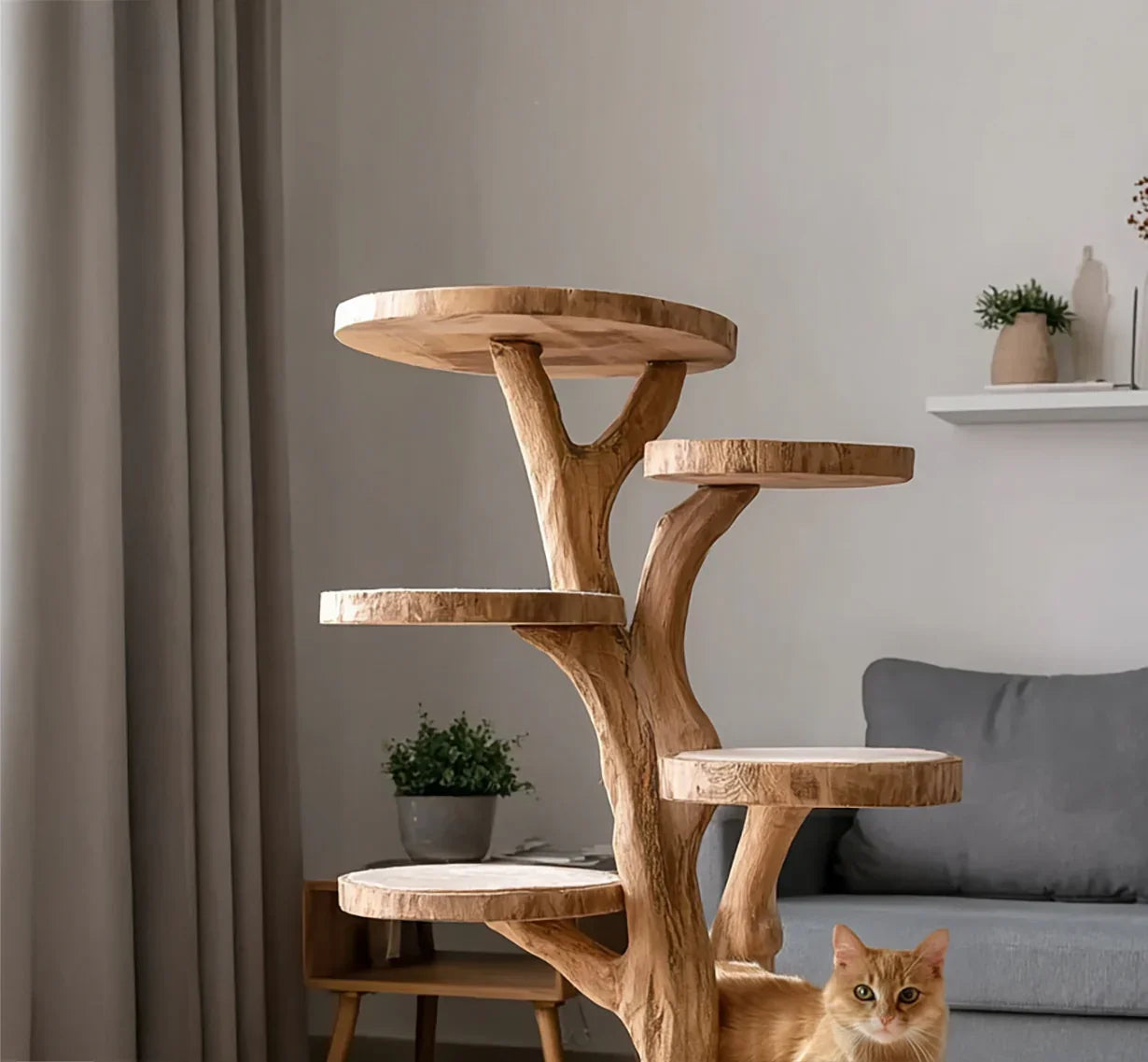 solid wood cat trees maintenance care wiping natural wood surface
