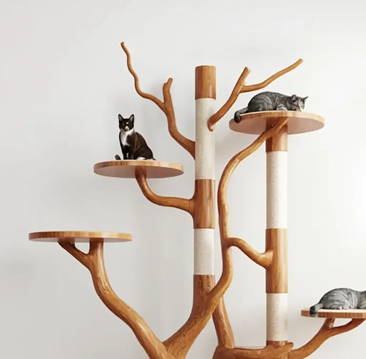 Rustic Tree Cat Tower – Natural Wood Cat Furniture for Living Room