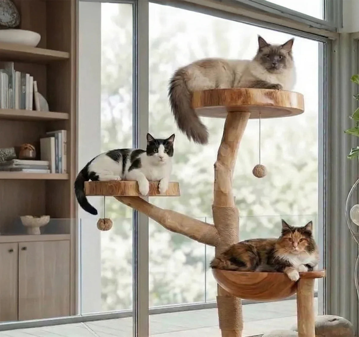 rustic cat tree for multi-cat household solid wood with multiple platforms