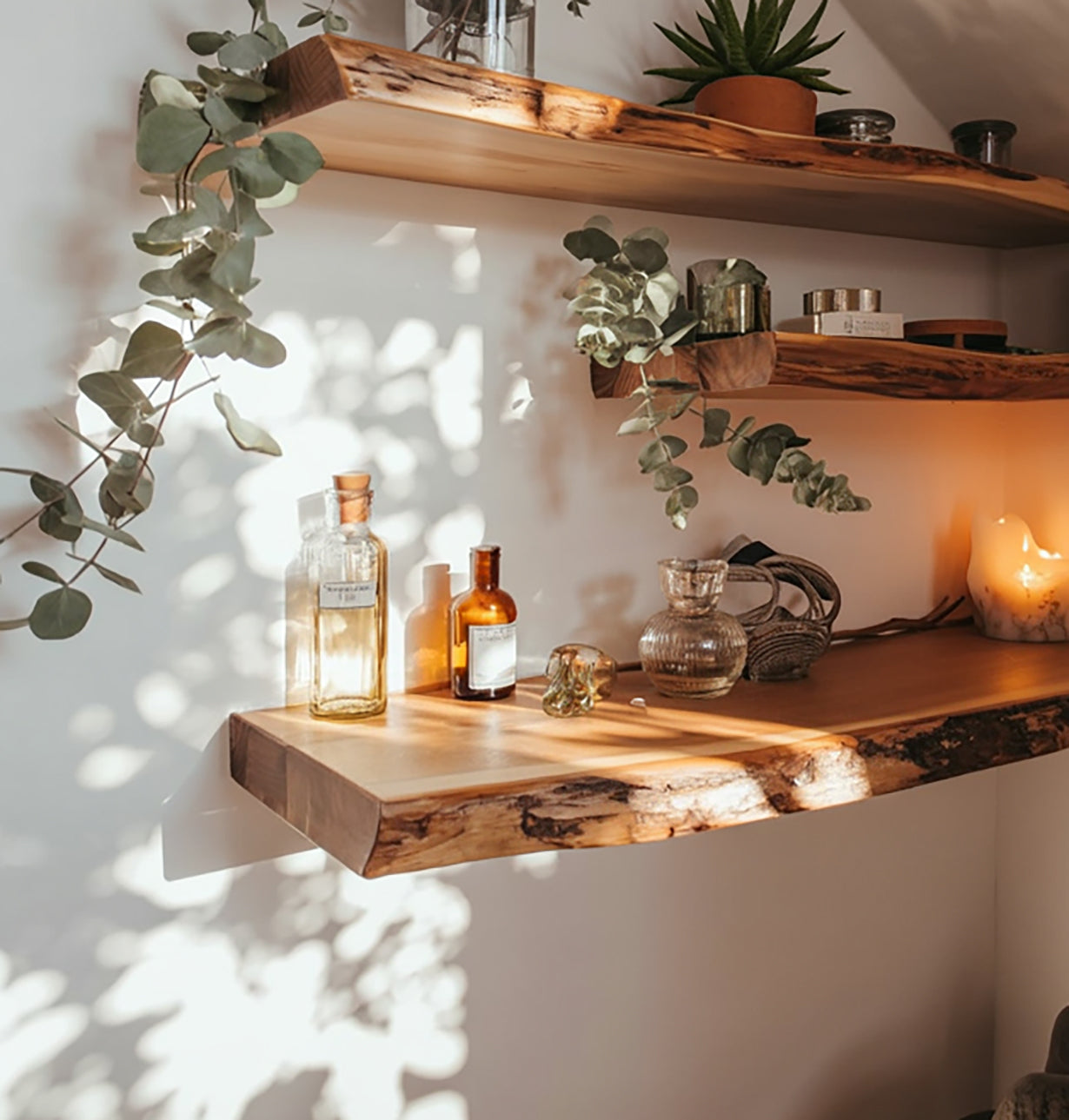 Live edge solid wood floating shelves with plants, glass bottles, and candle decor in sunlight