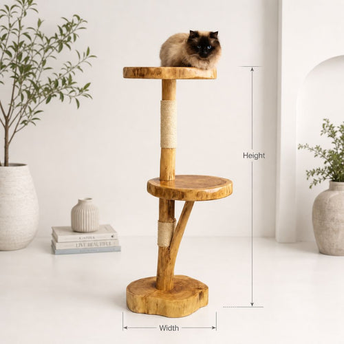 Small Cat Tree Guide: How to Avoid the Wobbly Ones