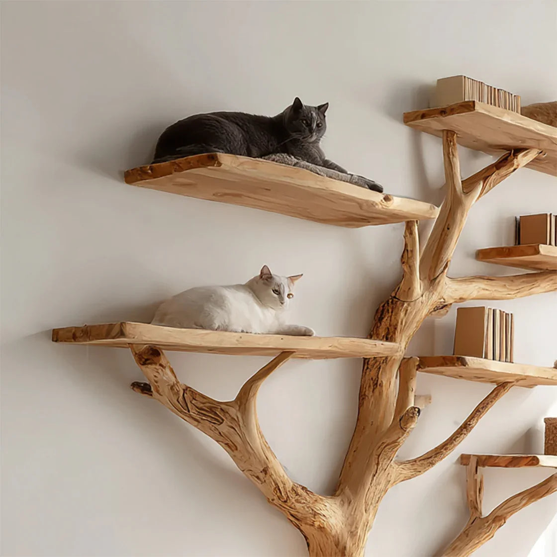 5 Cat Tree Bookshelf Ideas That Don't Look Like Cat Furniture