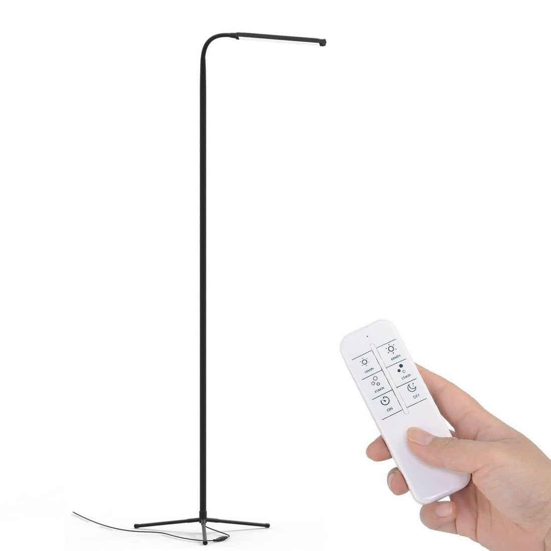 Elegant Floor Lamp