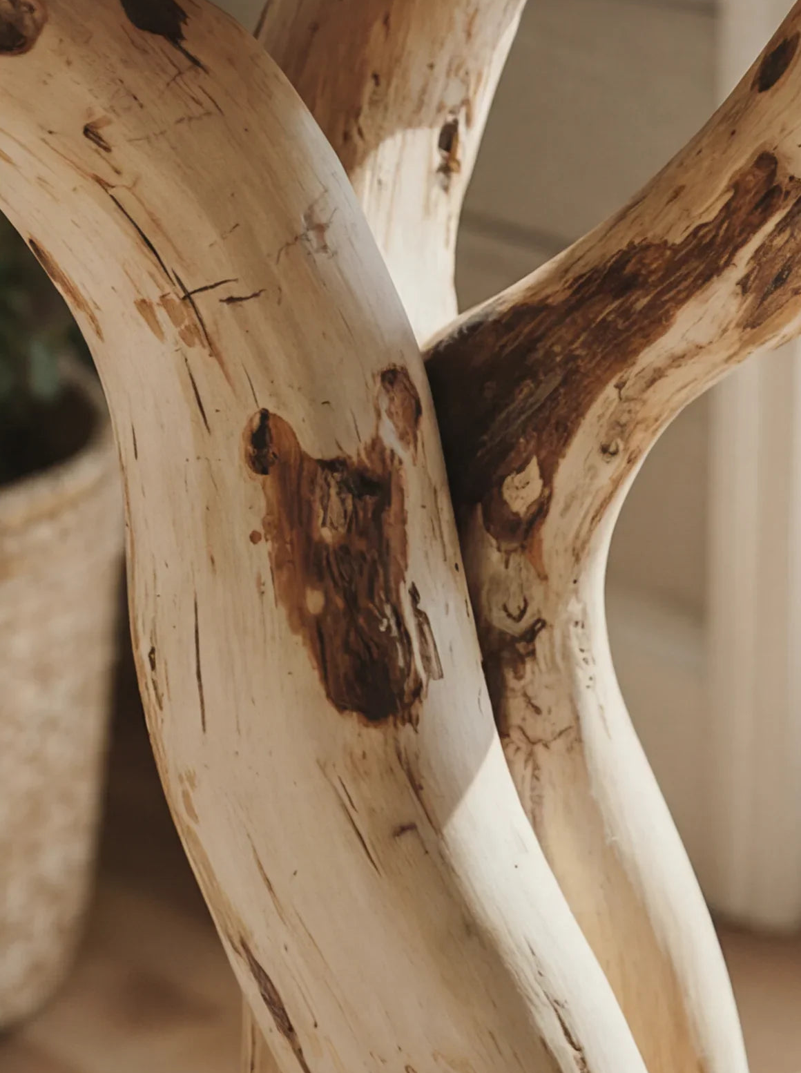 Close-up of sustainably crafted live edge solid wood branches with natural grain patterns