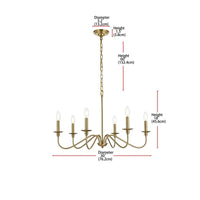 Exclusive Birch Traditional Chandelier