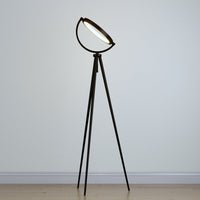 Modern Halo Floor Lamp