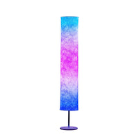 Deluxe Fuji LED Floor Lamp