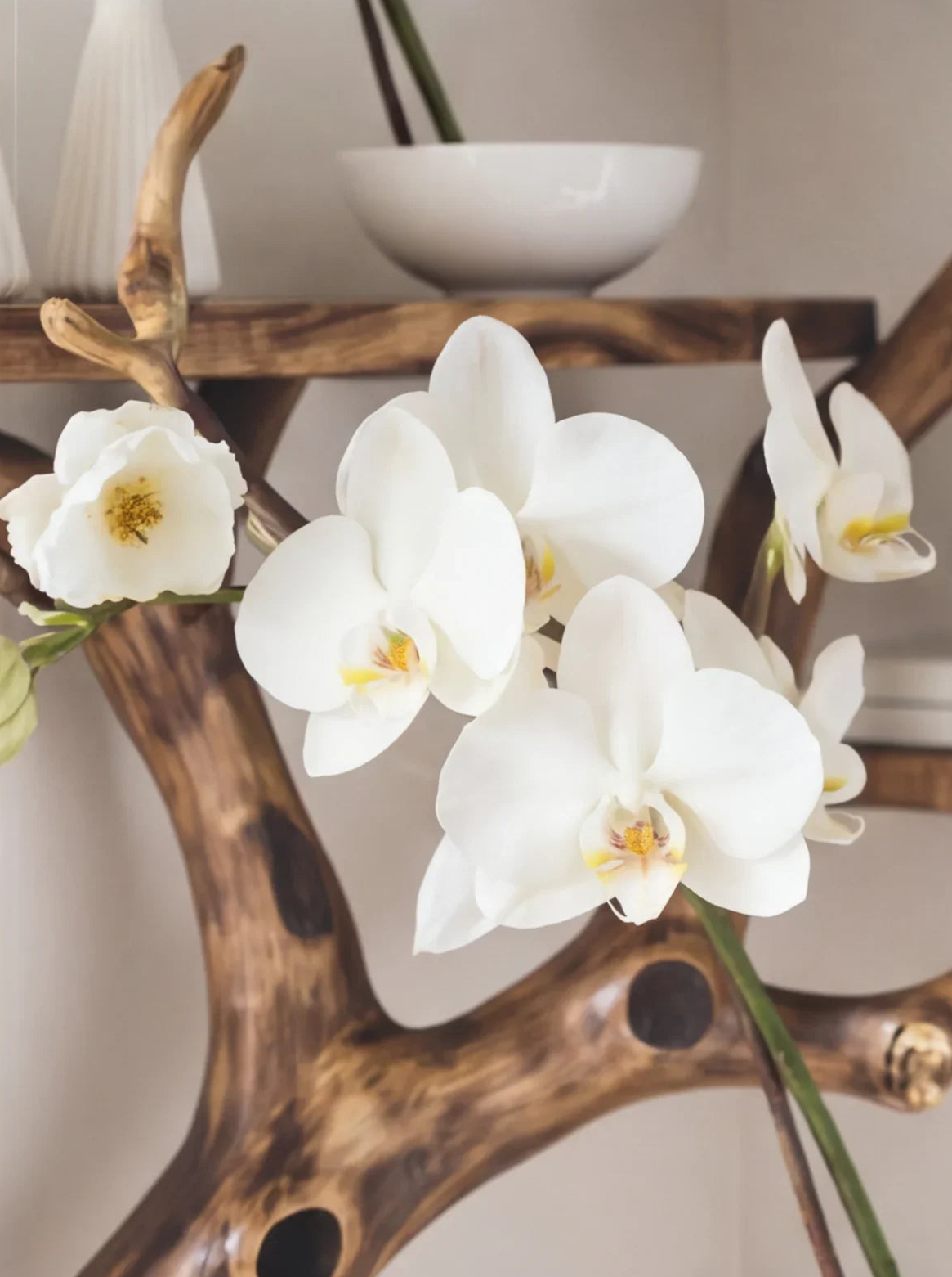 White orchids on a natural wood live edge shelf with minimalist decor