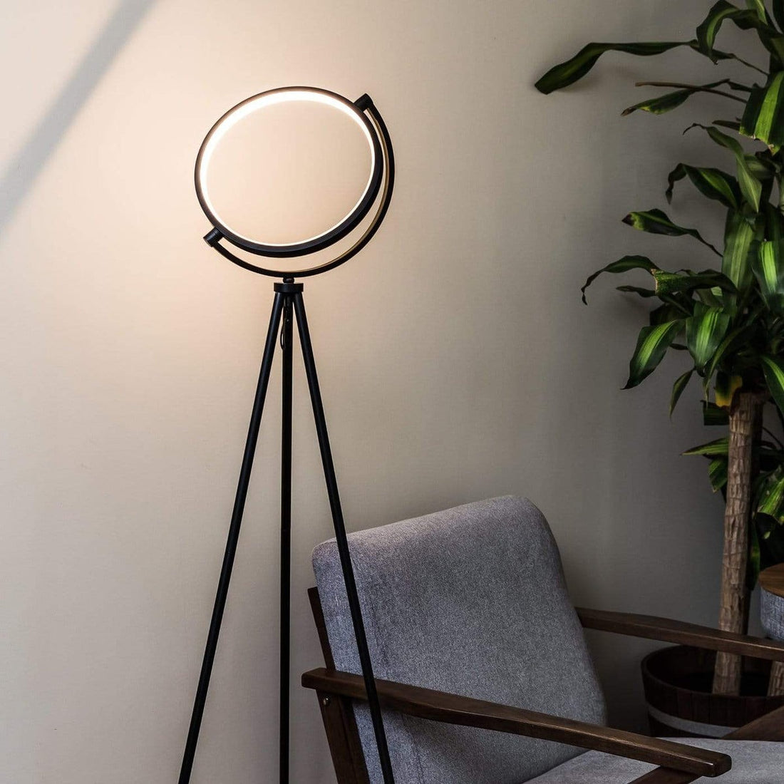 Modern Halo Floor Lamp