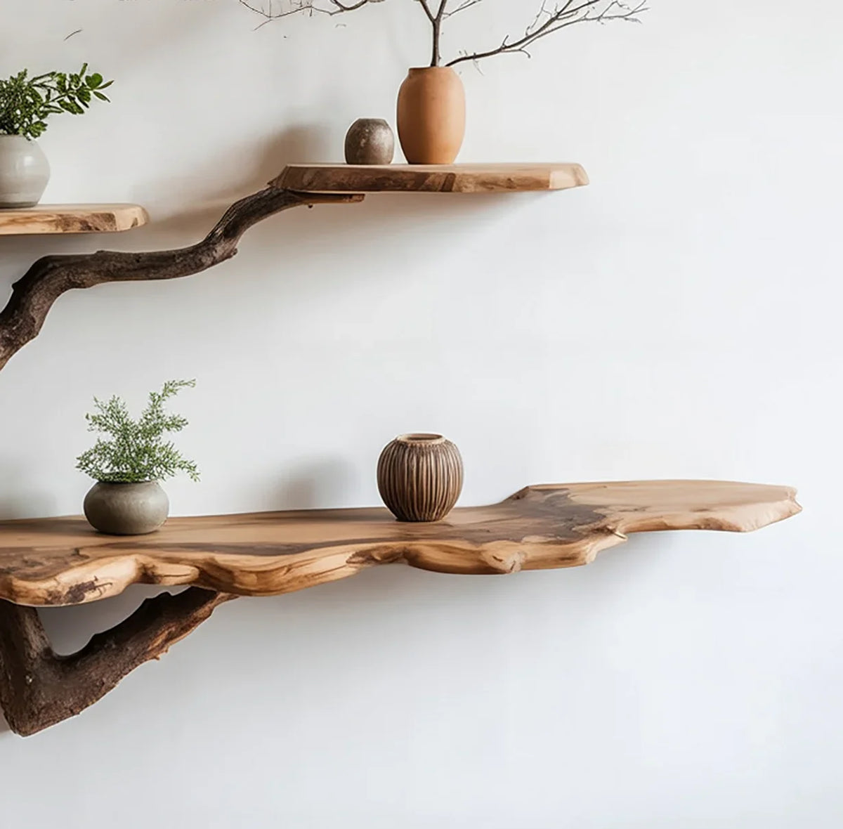 Floating live edge wood shelves with decor and indoor plants on a white wall