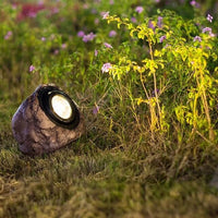 Rocky Outdoor Solar Light