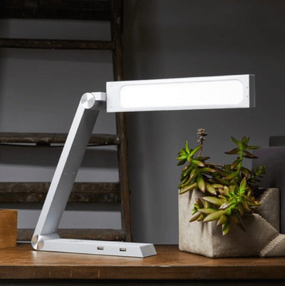 Modern Desk Lamp