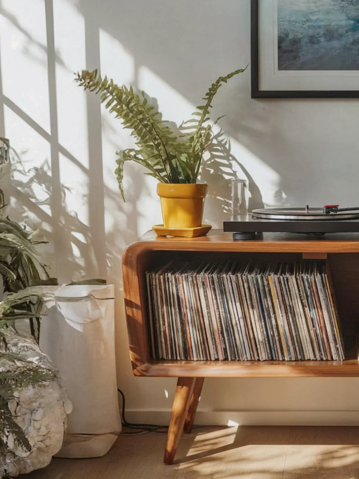 Sunlit interior with a solid wood record shelf, vinyl collection, and potted fern plant.