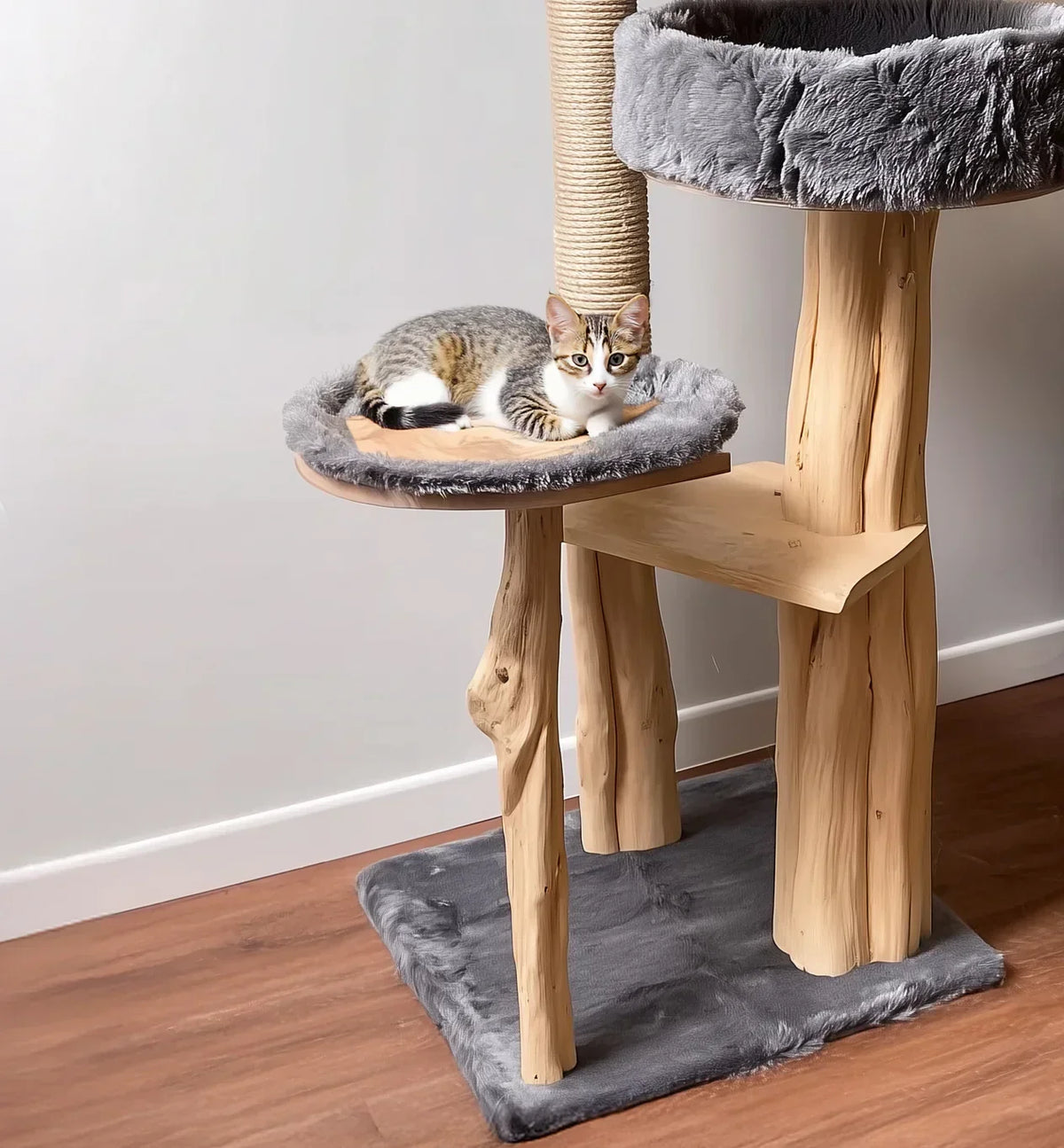 Rustic wall-mounted cat shelf providing vertical play space for indoor cats