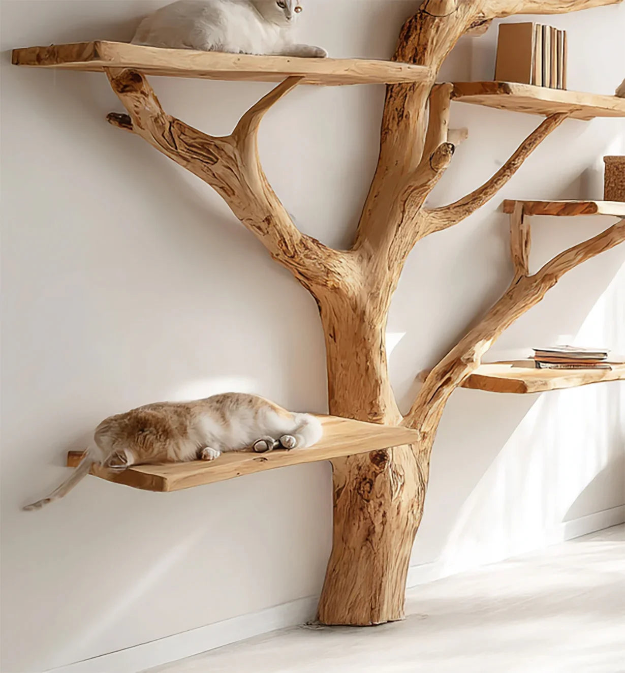 Unique wooden tree-shaped cat shelves mounted on white wall with two cats resting on different levels