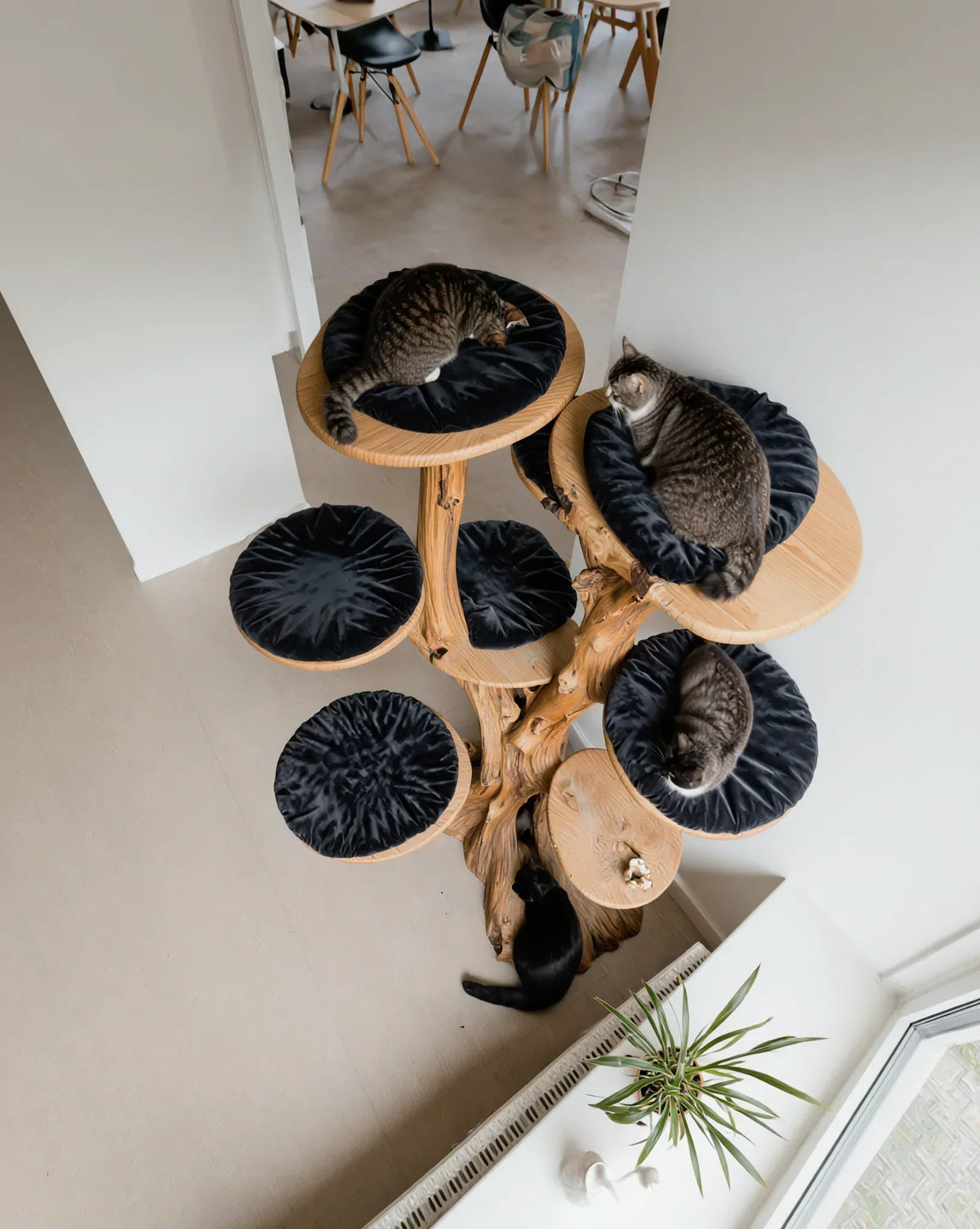 cat tree tower