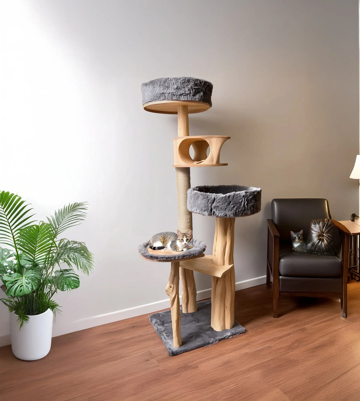 Natural wood cat wall furniture enhancing a cozy pet-friendly home