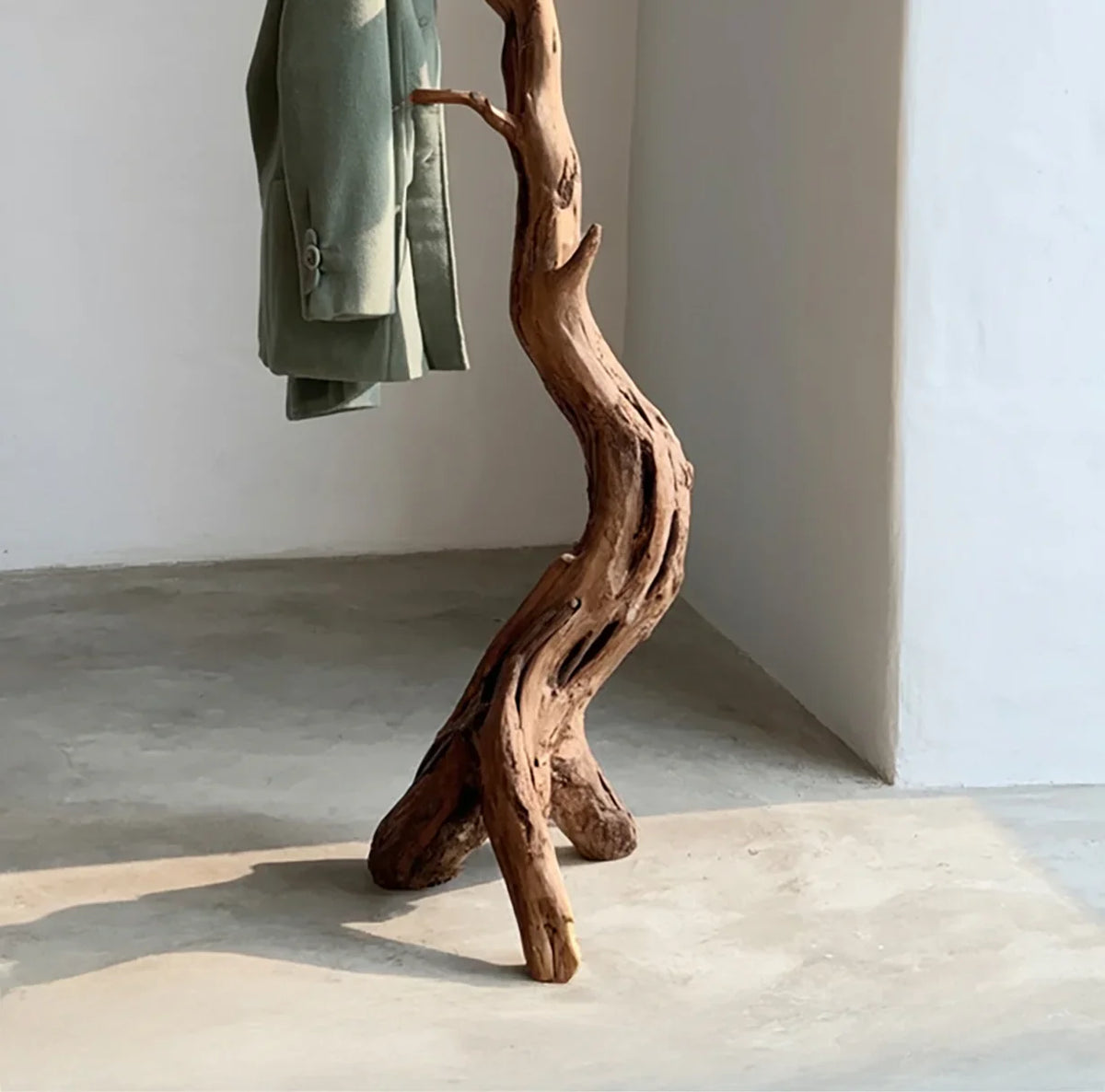 Sculptural live edge solid wood coat rack with natural branches in minimalist room