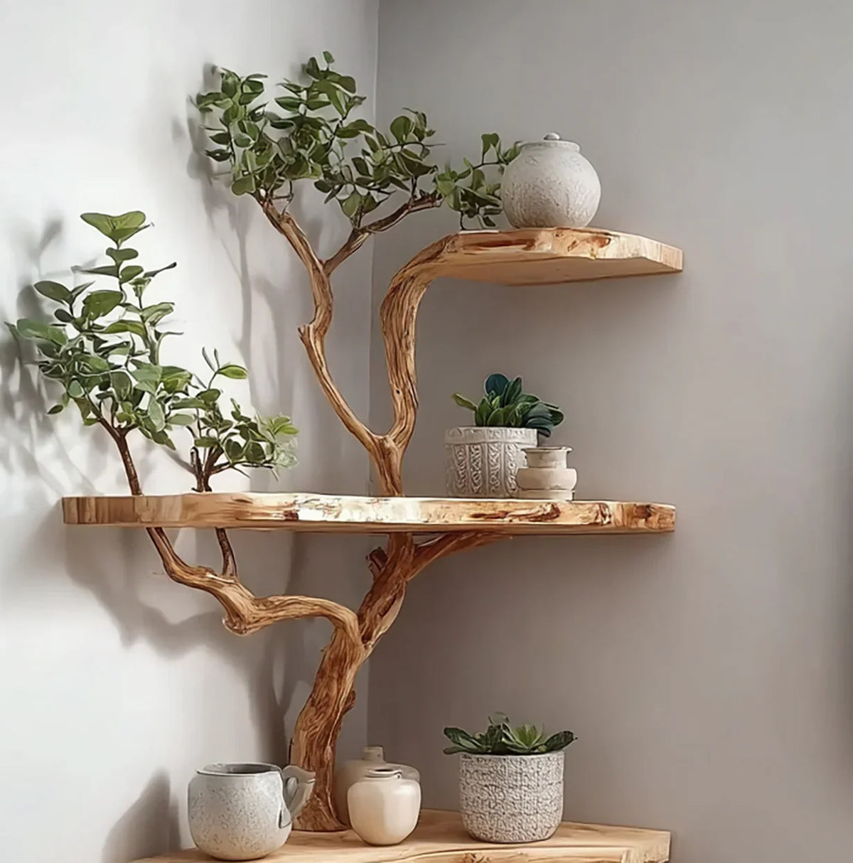 corner wooden shelves with natural tree branch supports decorated with ceramic pots and green plants