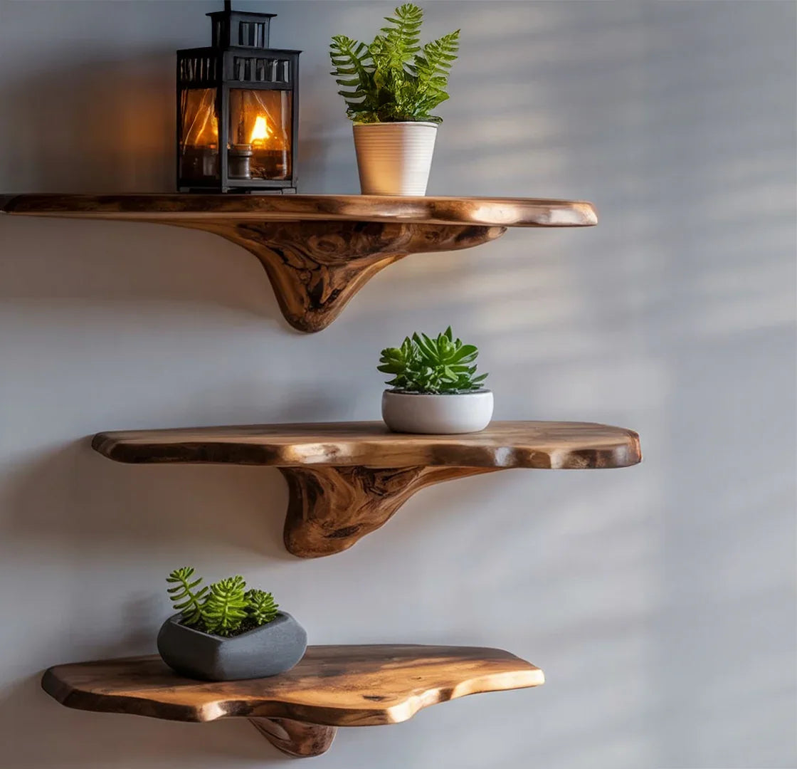 Live edge floating wood shelves on wall with potted plants and lantern decor