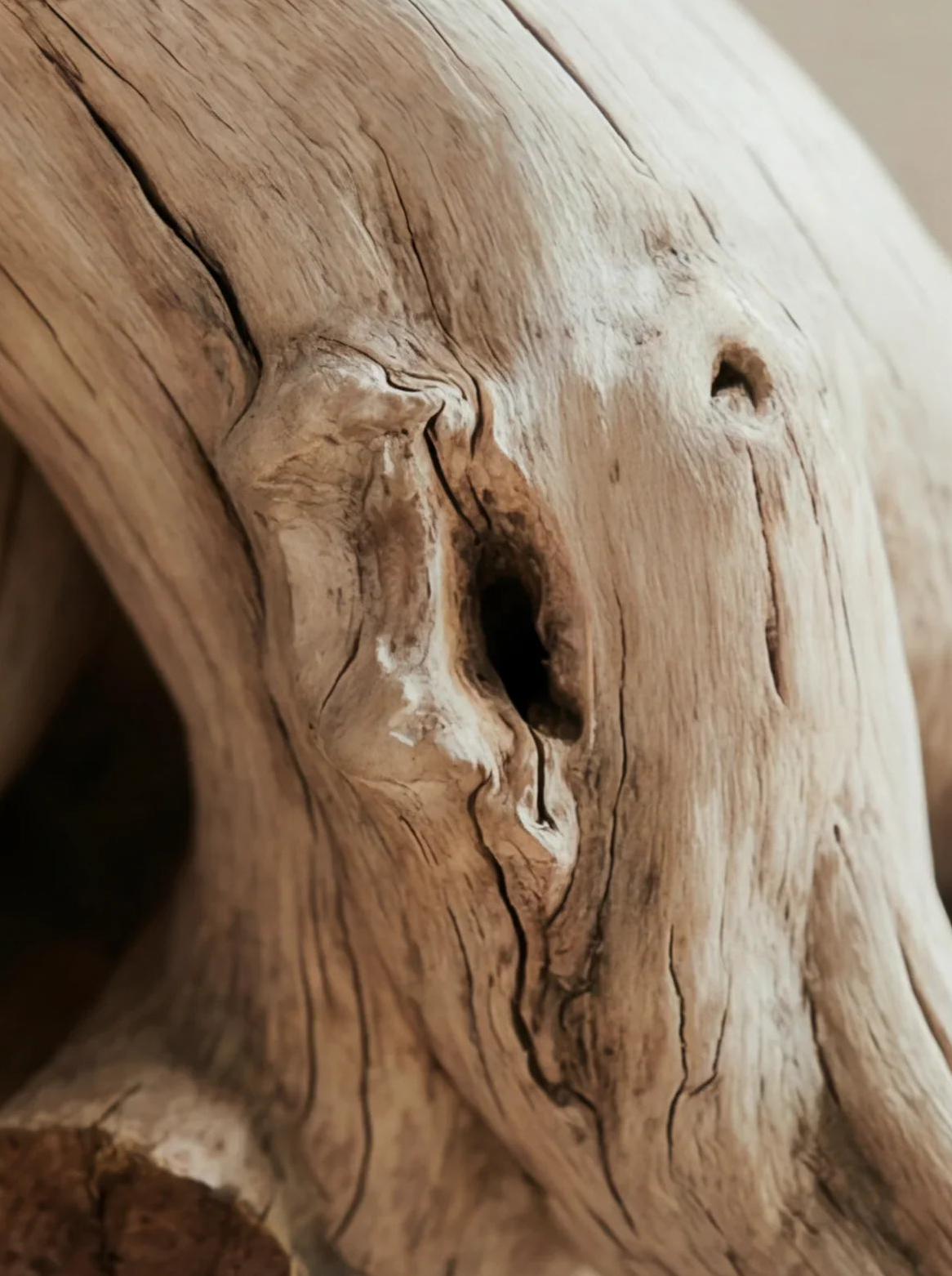 Close-up of natural solid wood with unique live edge grain and organic texture