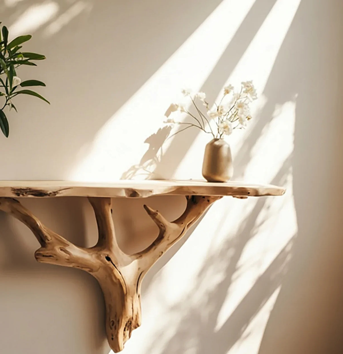 Natural wooden floating shelf with live edge and branch support holding a bronze vase with white dried flowers