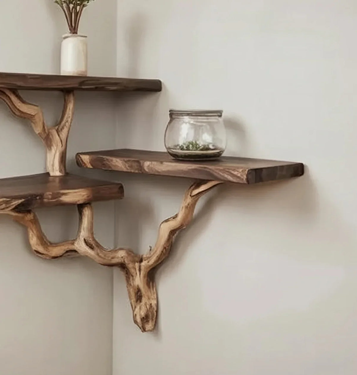 Live edge wooden floating shelves with branch-shaped supports mounted on a wall