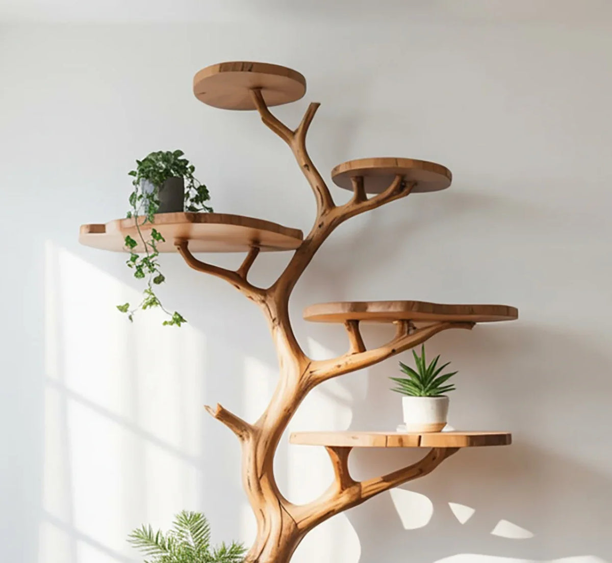 Sustainably crafted tree bookshelf with live edge wood shelves and potted plants, wall-mounted.