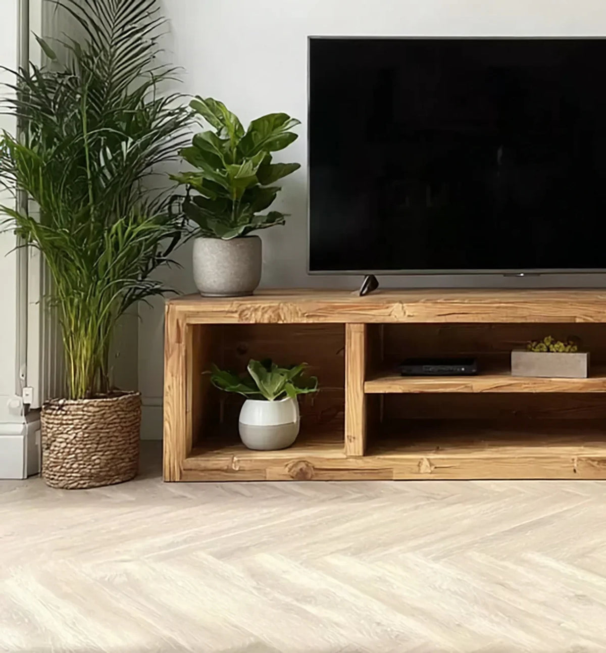 Modern wooden TV stand with large flat-screen, decorative plants in ceramic pots, natural light