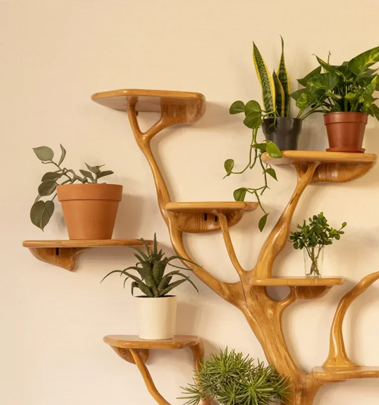 Wooden wall-mounted plant shelves designed like tree branches holding various potted green houseplants