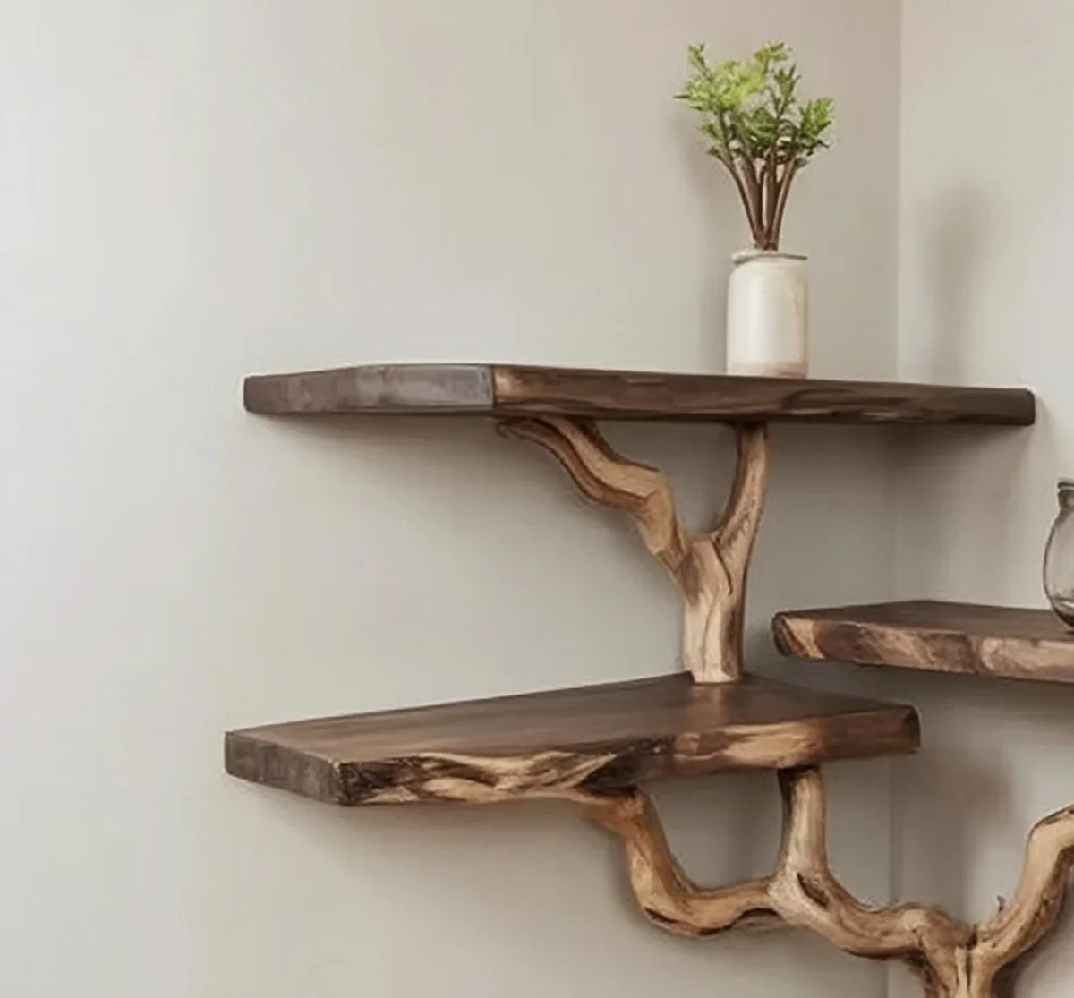 Live edge floating wooden shelves with natural tree branch supports on a wall, minimal decor