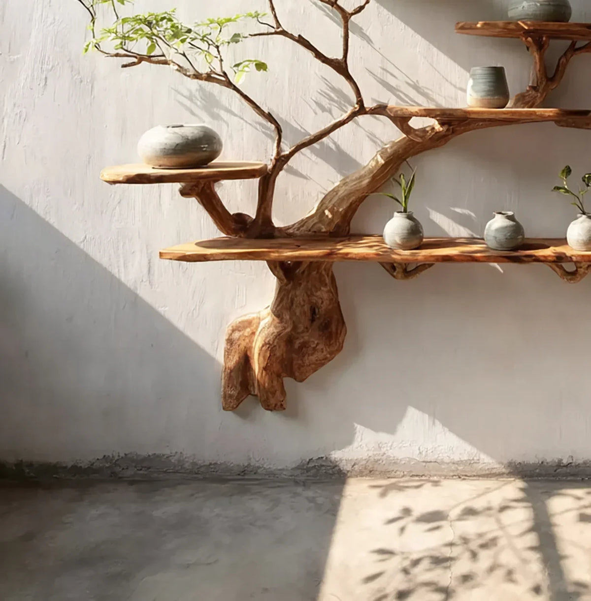 Natural wood tree branch shelf with ceramic vases and small green plants against white wall