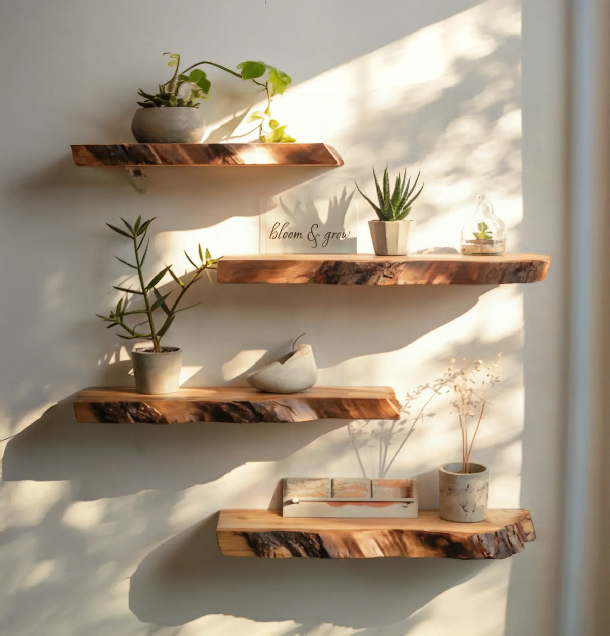 Live edge wood floating shelves with potted plants and decor on a sunlit wall