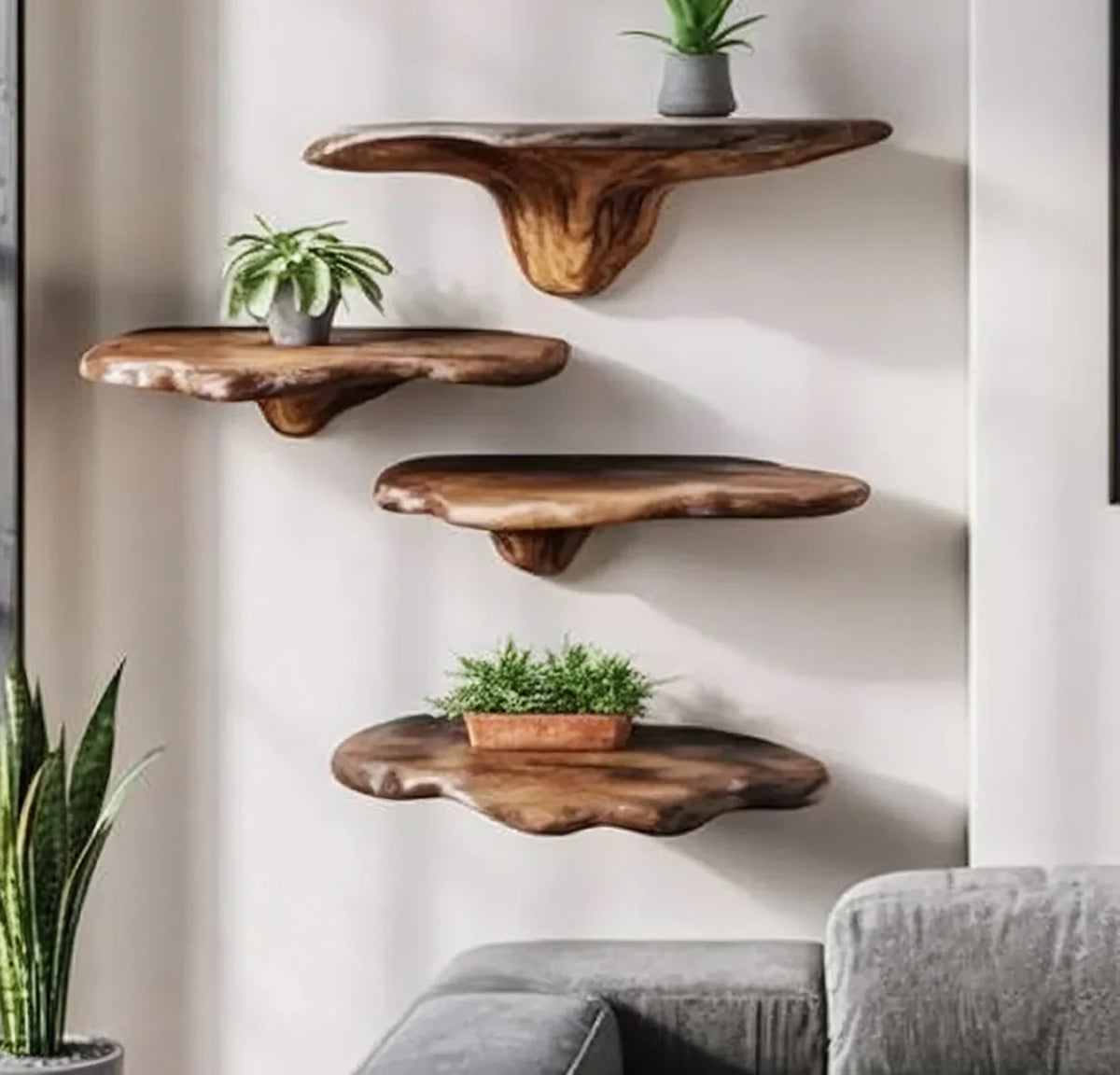 Live edge floating wood shelves with potted plants on a modern living room wall