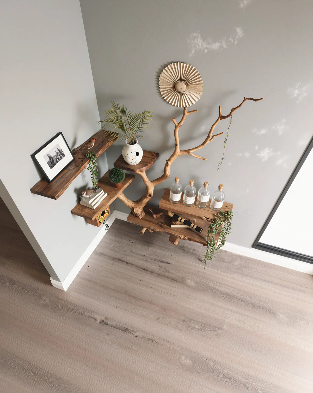 Live edge solid wood tree bookshelf with decorative shelves and plants in modern room