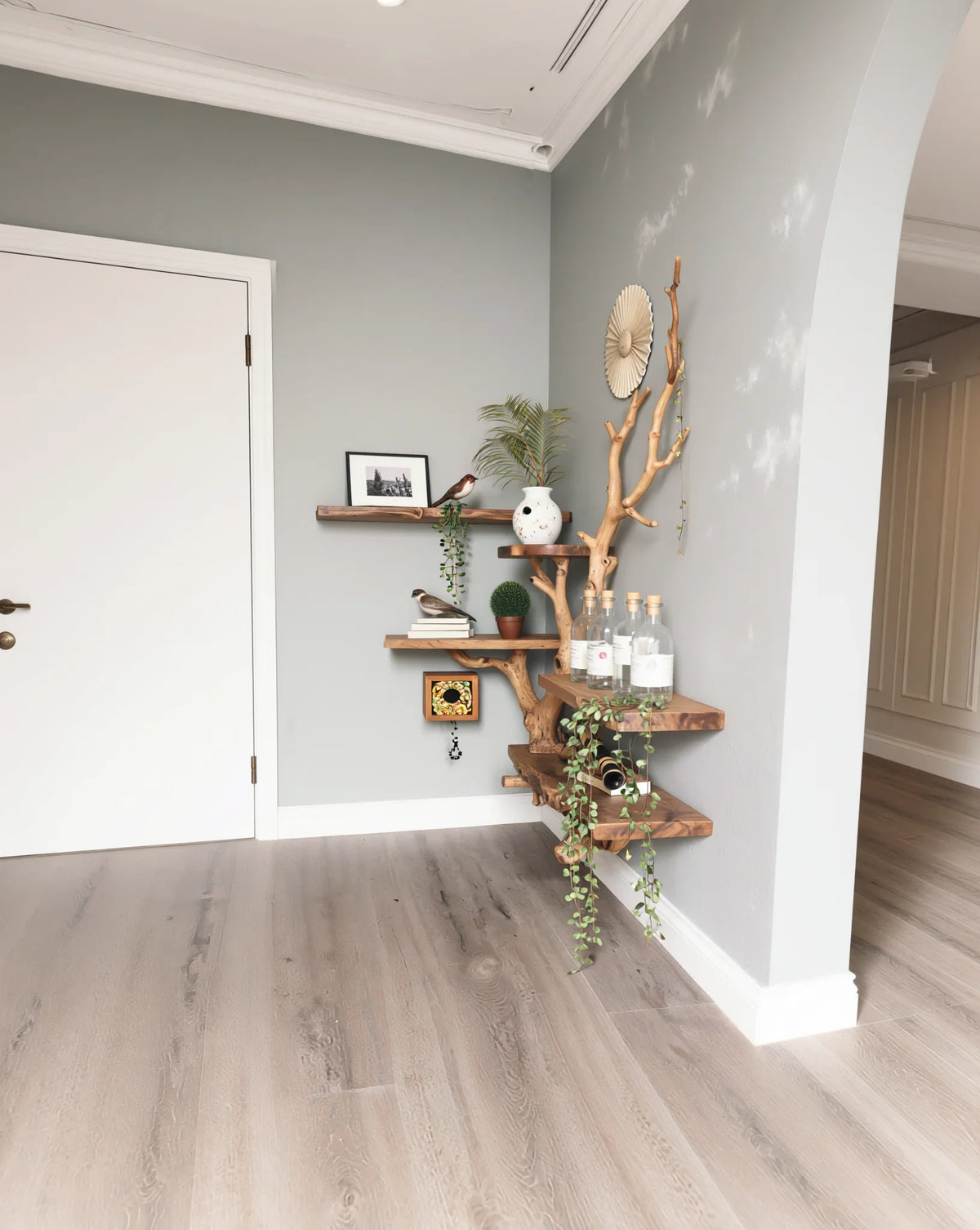Live edge wood tree bookshelf with decor and plants against gray wall in modern room