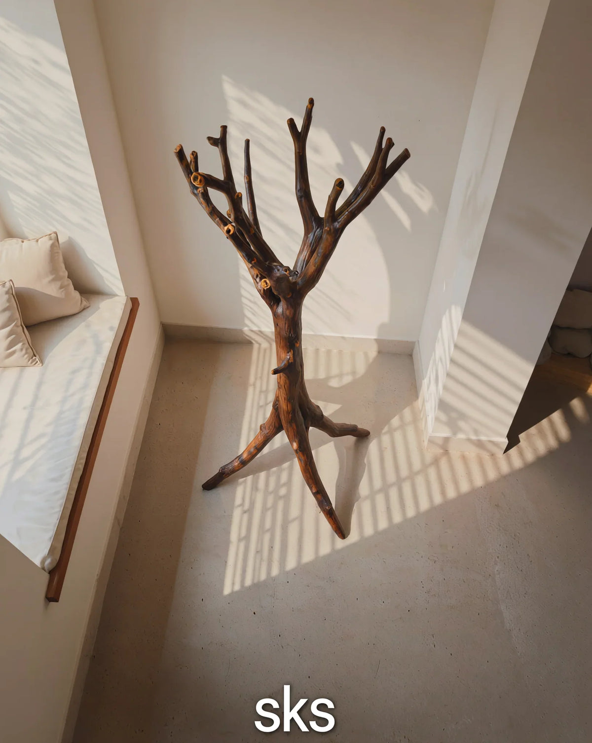 Solid wood tree bookshelf with live edge branches in a sunlit minimalist room