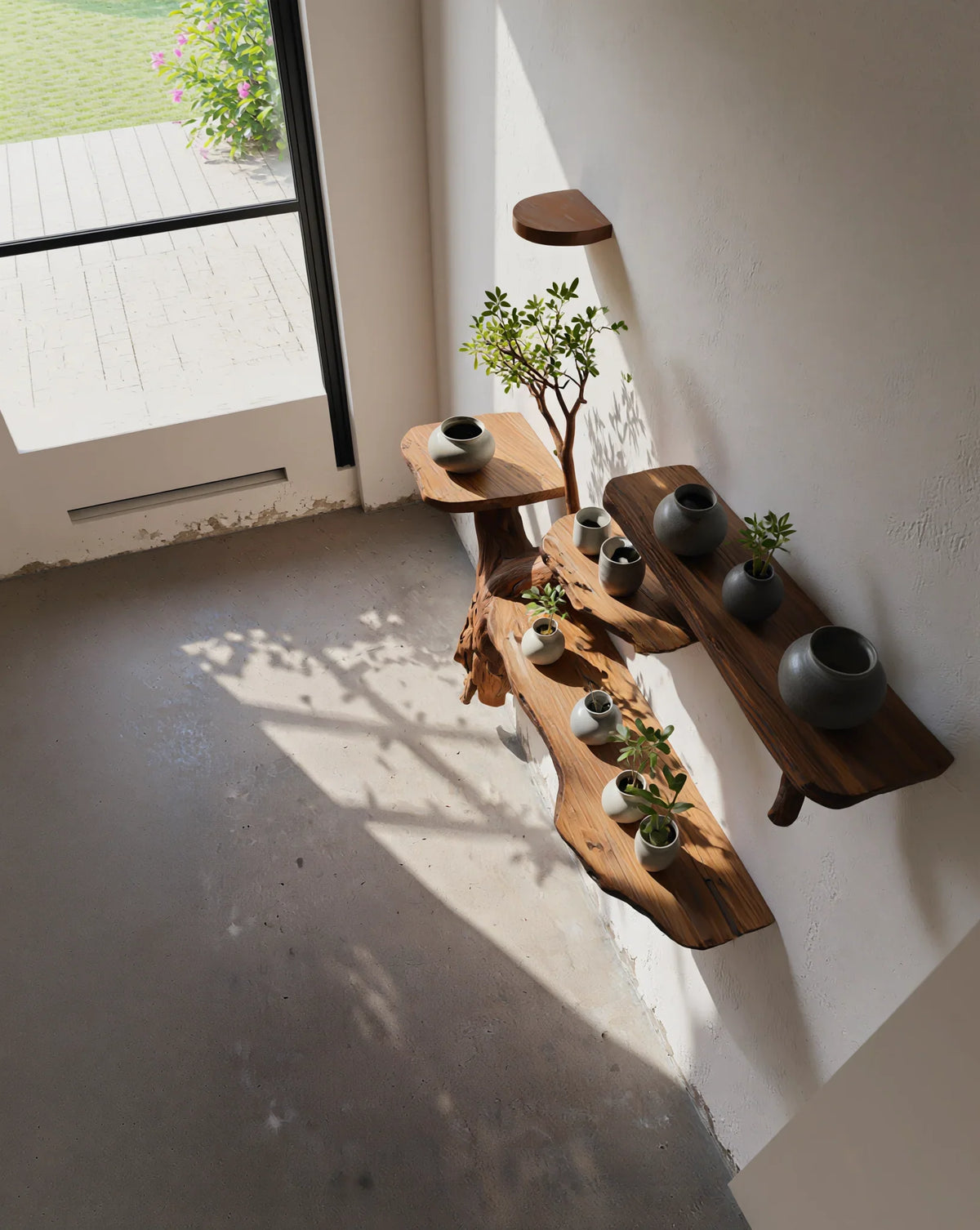 Live edge wooden floating shelves with potted plants and ceramic vases in sunlight