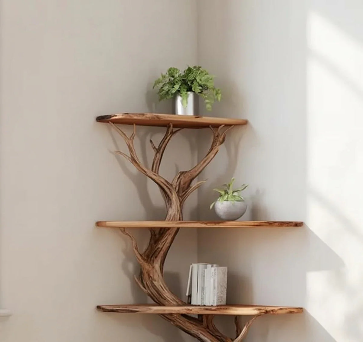 Live edge corner tree bookshelf with solid wood shelves, potted plants, and books