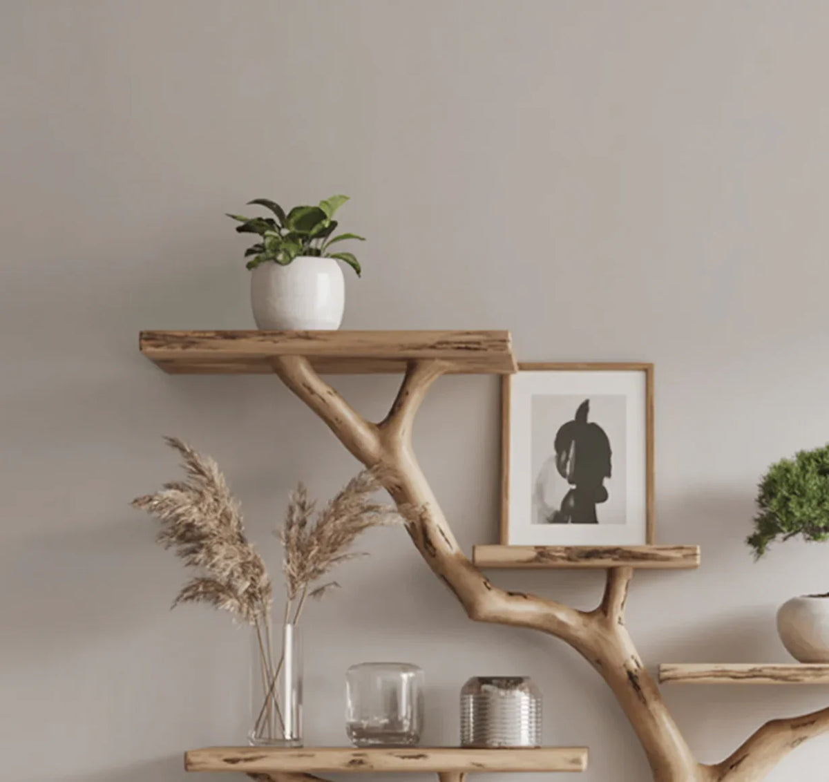 Live edge solid wood tree bookshelf with potted plants, framed art, and minimalist decor.