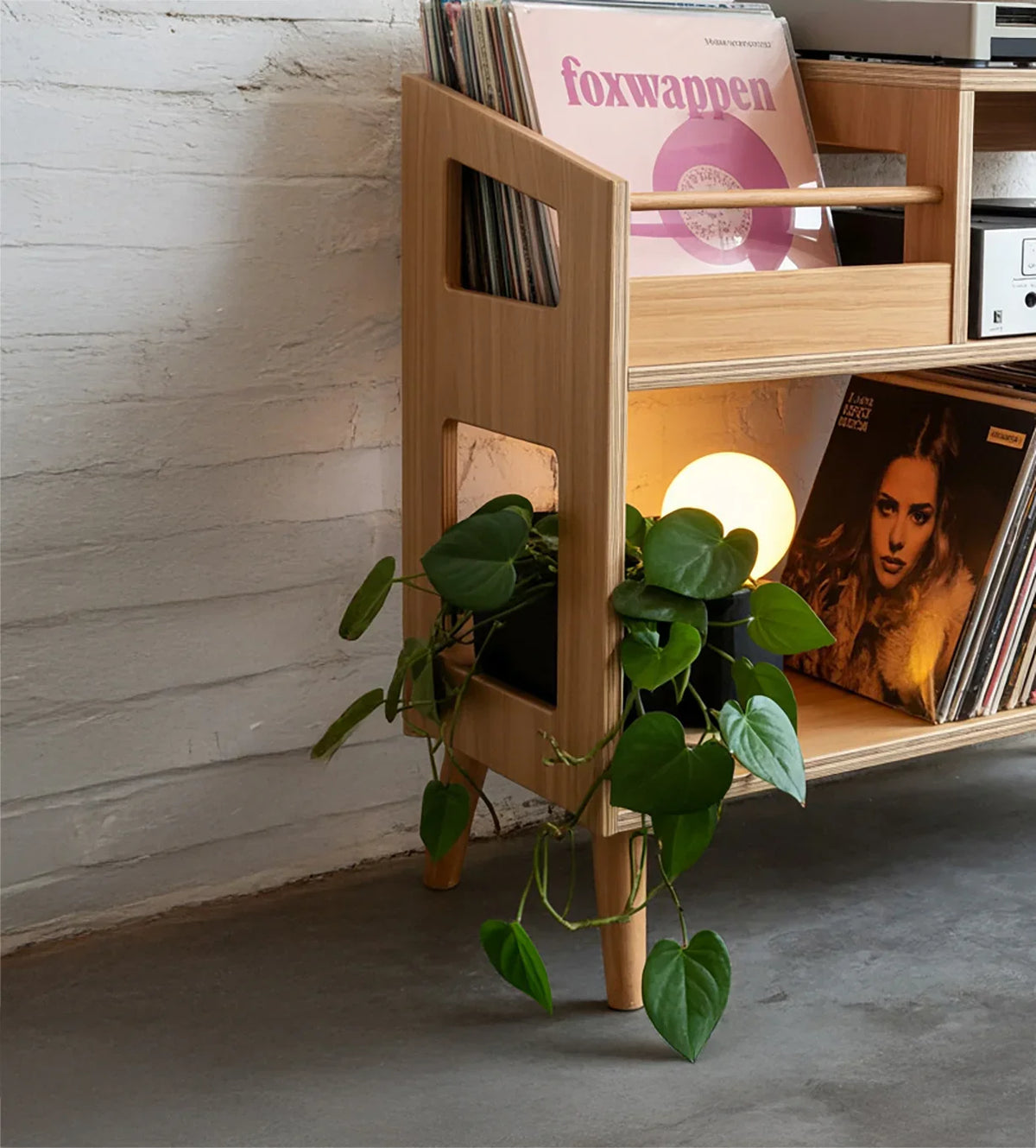Modern wooden vinyl record storage with green trailing plant and warm spherical lamp