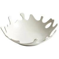 Elegant Splash Bowl