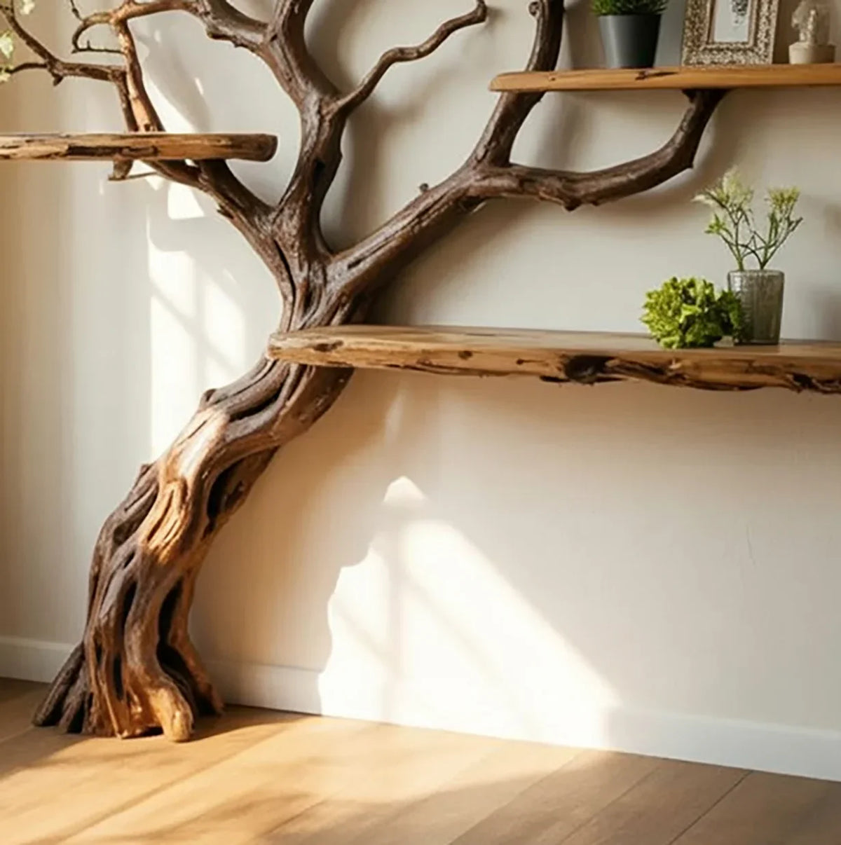 Live edge tree bookshelf with floating wooden shelves against a sunlit wall