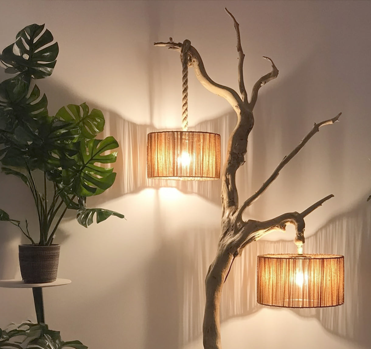 Indoor decorative wooden branch lamp with two hanging woven lampshades, next to a potted monstera plant