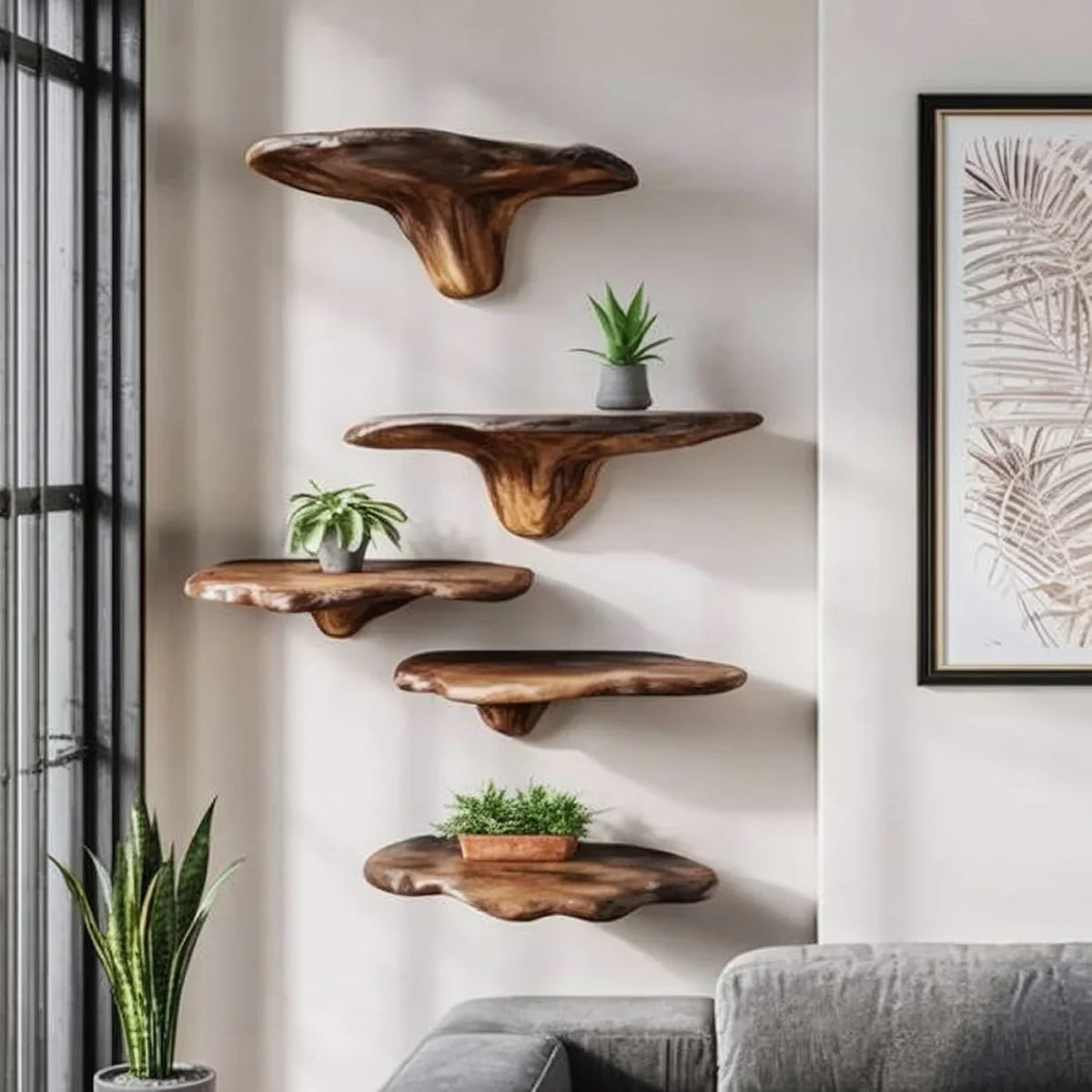 Live edge solid wood floating shelves with potted plants in a modern living room