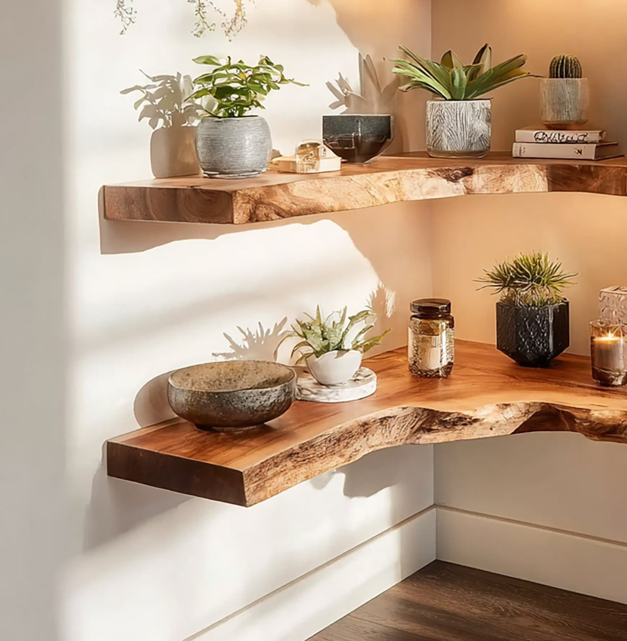 Corner wall with two rustic live edge wood shelves displaying potted plants, glass jars, and candles in warm natural light