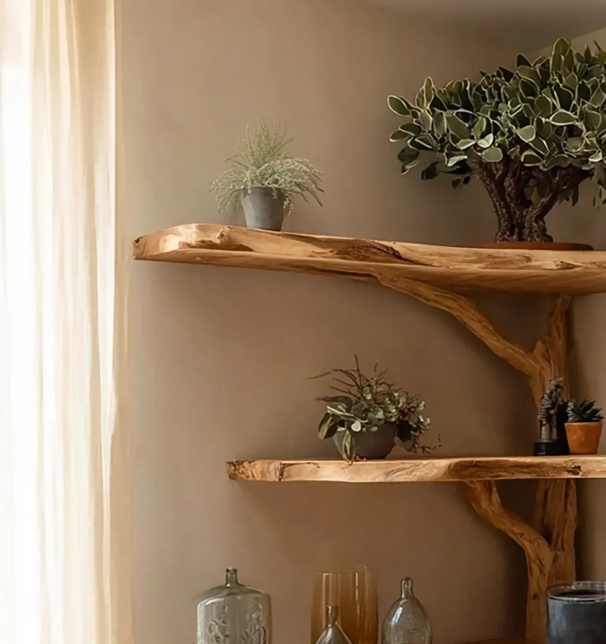 Natural wooden wall shelves with potted plants and decorative bottles in cozy neutral room