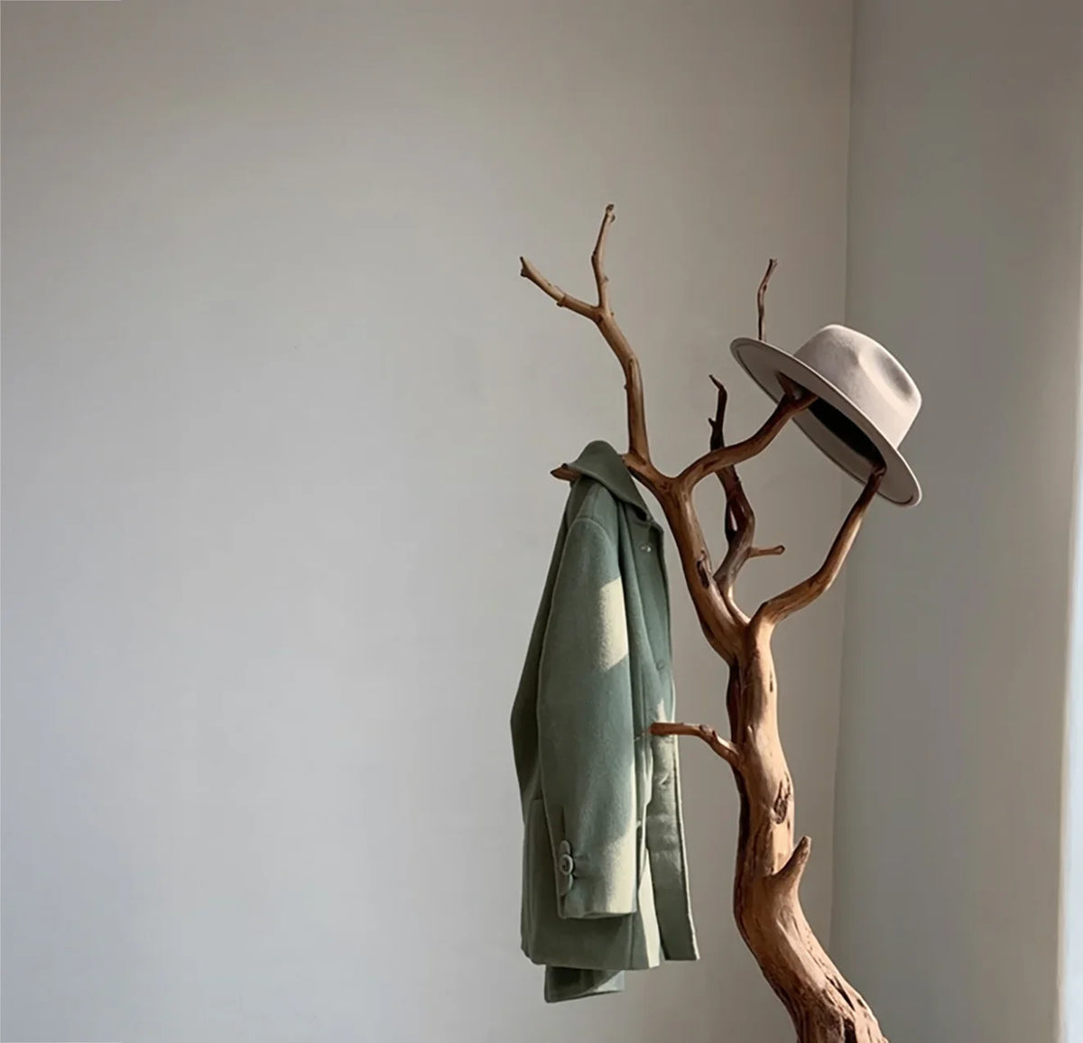 Live edge solid wood tree coat rack with green jacket and beige hat in minimalist room