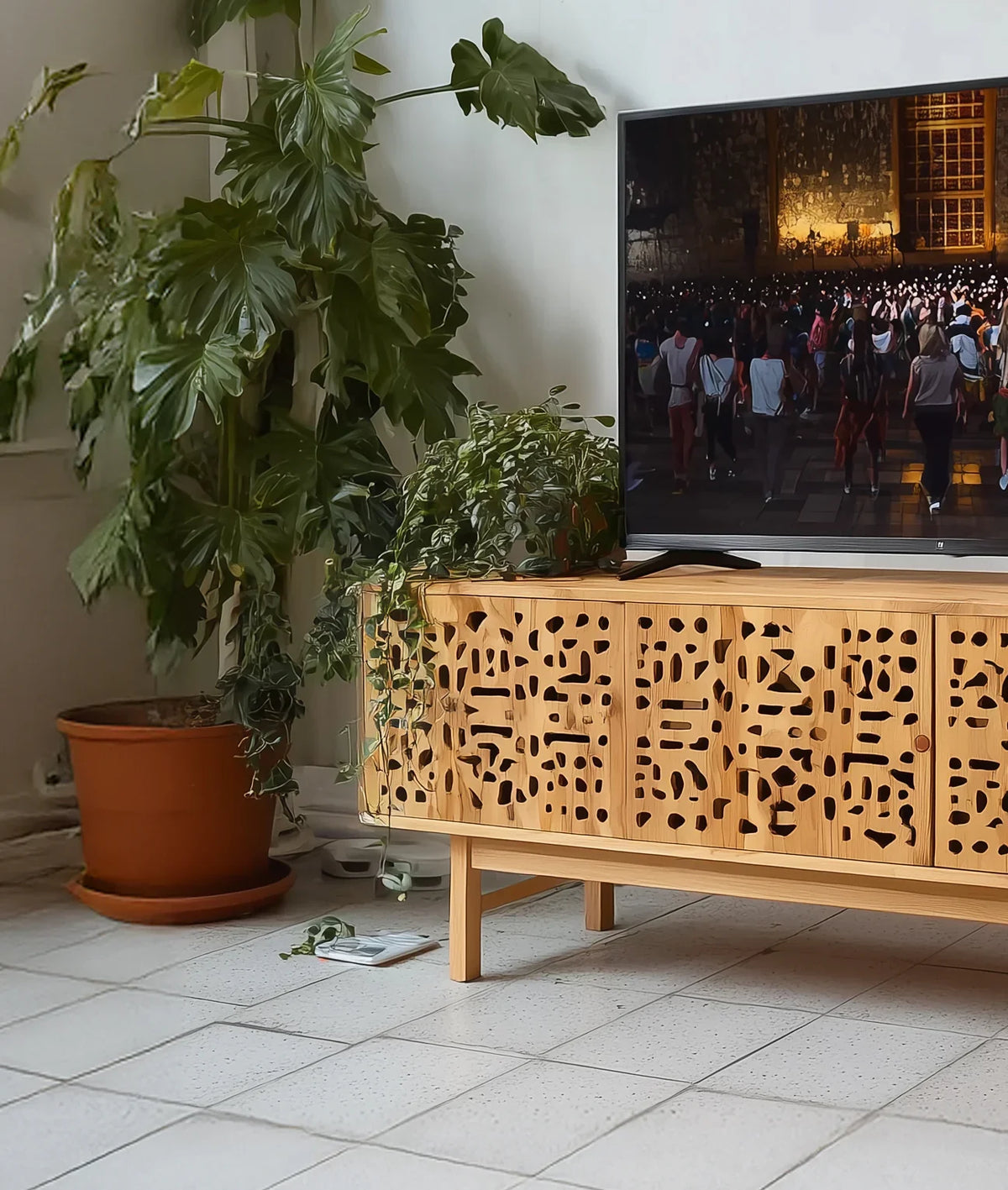Solid wood TV console with carved panel doors, indoor plants, and a modern living room setting.